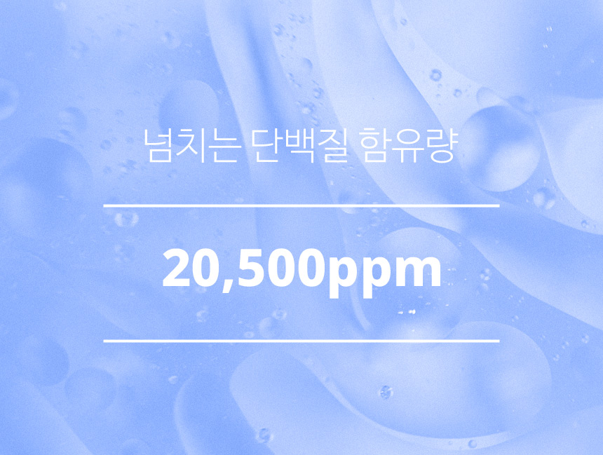 最新升級版雙倍蛋白質 韓國 HairPlus Protein Bond Ampoule Essense 高濃度蛋白質胺基酸高效免沖洗安瓶精華 - 70ml