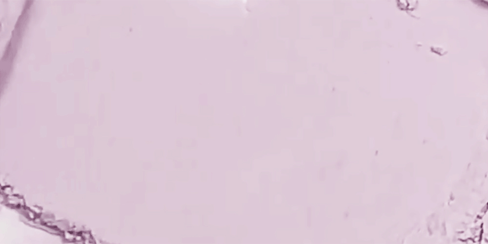 李時安蜜粉！韓國 Keep in Touch Young Pairing Sebum Finish Powder 毛孔隱形控油定妝蜜粉(白色/紫色提亮) - 2款選擇