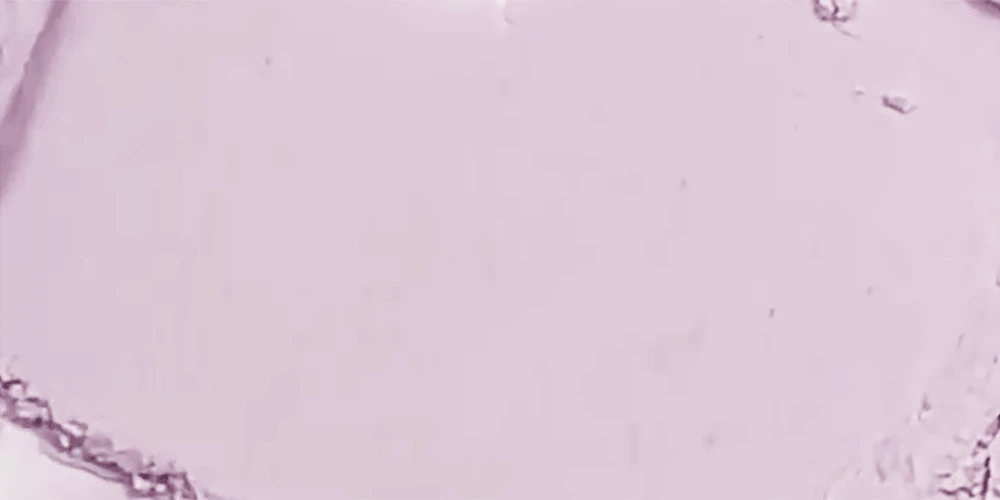 李時安蜜粉！韓國 Keep in Touch Young Pairing Sebum Finish Powder 毛孔隱形控油定妝蜜粉(白色/紫色提亮) - 2款選擇