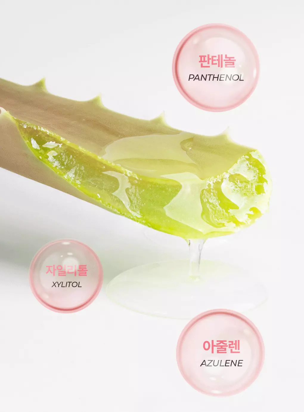 Bring Green Pink Aloe 96% Soothing Gel 純淨96%粉紅蘆薈舒緩保濕凝膠啫喱
