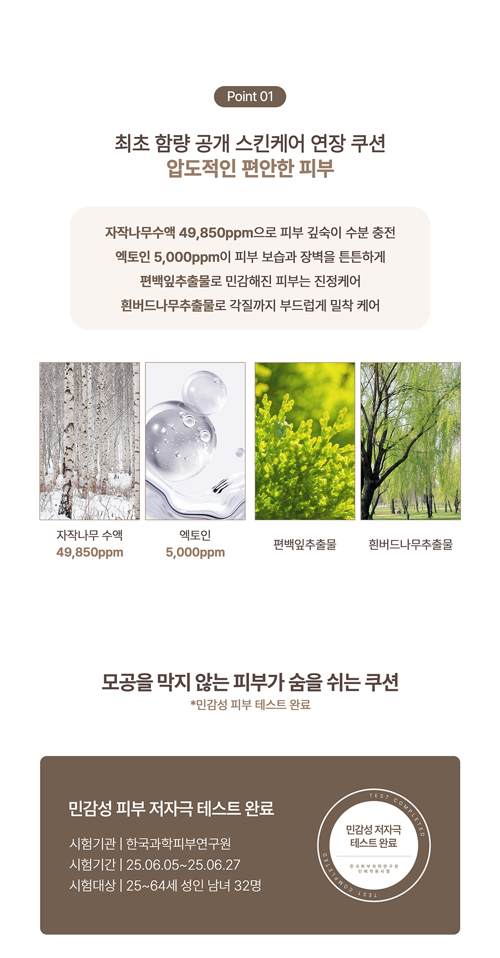 5位化妝師研發Idol級氣墊~韓國 HEVEBLUE Makeup Pro Ectoin Tree Semi Matte Fit Cushion SPF50+ PA+++ 專業idol級輕薄貼合底妝半霧面氣墊粉底 - 4色選擇