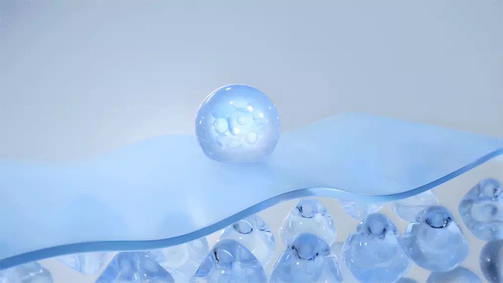 水潤玻璃唇~韓國Round Lab Birch Juice Moisturzing Lip Balm 白樺樹彈潤水潤護唇膏 - 20g