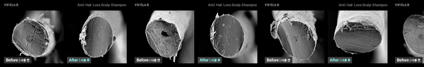 4週阻截脫髮～韓國 ViveLab 回購No.1 Revi Solution Anti Hair Loss Scalp Shampoo 專利防脫護頭皮綠色洗髮露 (500ml/300ml/60ml) - 3種選擇