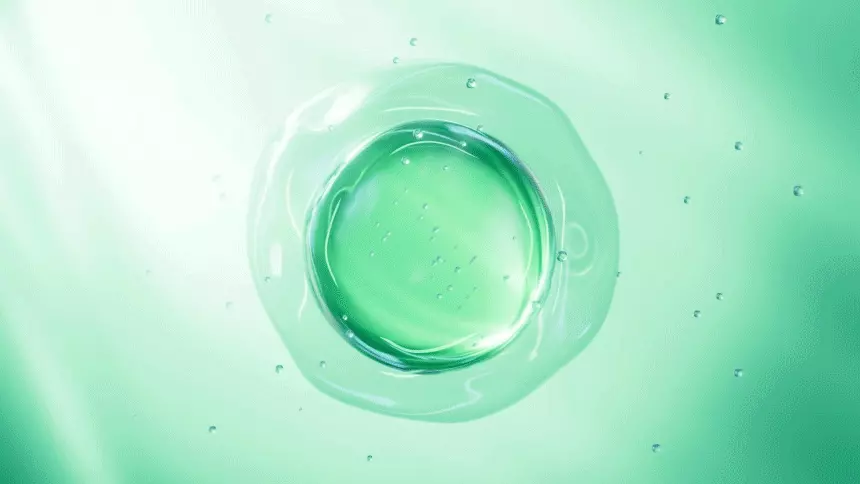 4週阻截脫髮～韓國 ViveLab 回購No.1 Revi Solution Anti Hair Loss Scalp Shampoo 專利防脫護頭皮綠色洗髮露 (500ml/300ml/60ml) - 3種選擇