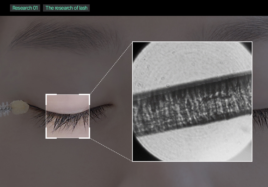 韓國 vivelab Revive Therapy Hair Brow Lash Serum 皇牌育睫高濃縮眉睫精華液