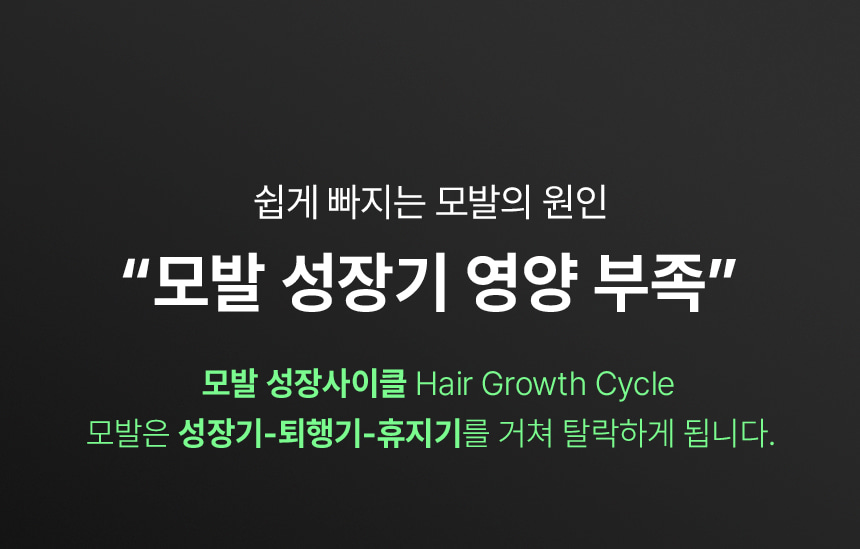 韓國國民級Olive Young🏆 ViveLab Revive Therapy Hair Scalp & Brow Ampoule 活髮再生頭皮修復滾珠安瓶精華