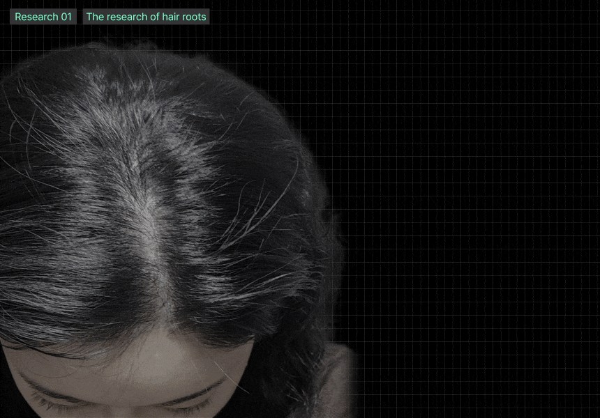 韓國國民級Olive Young🏆 ViveLab Revive Therapy Hair Scalp & Brow Ampoule 活髮再生頭皮修復滾珠安瓶精華