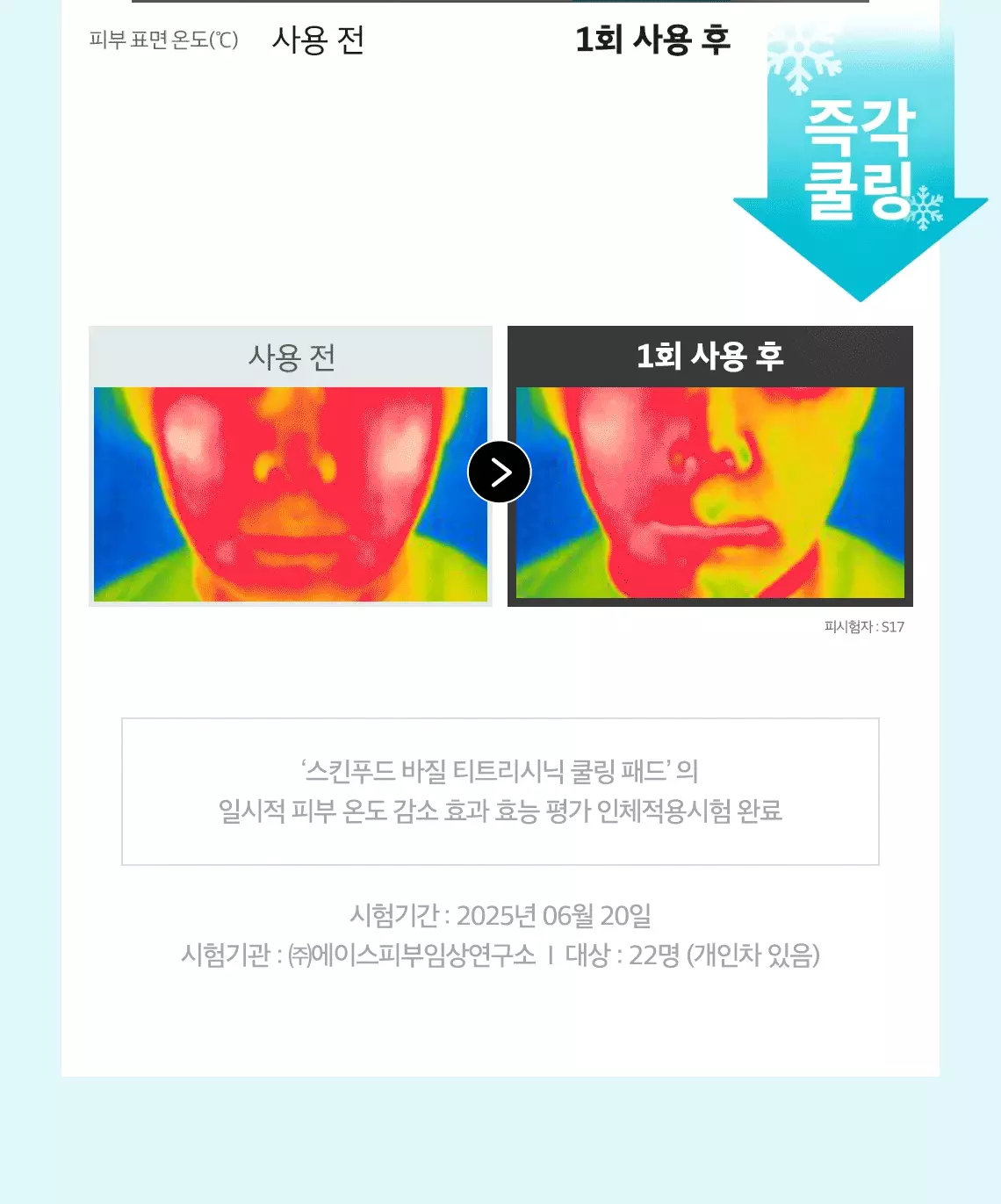 極油肌~韓國 Skinfood Basil Teatreecinic Cooling Pad 羅勒茶樹水潤控油冰涼降溫爽膚棉片 - 70片裝