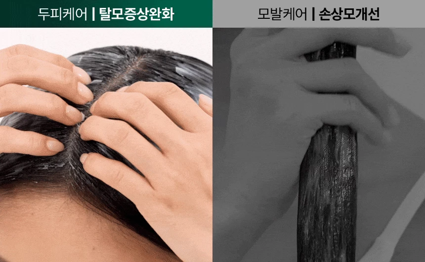 韓國 ViveLab Revi Solution Anti Hair Loss Scalp Protein Treatment 防脫強髮絲護頭皮蛋白護髮素 - 200ml