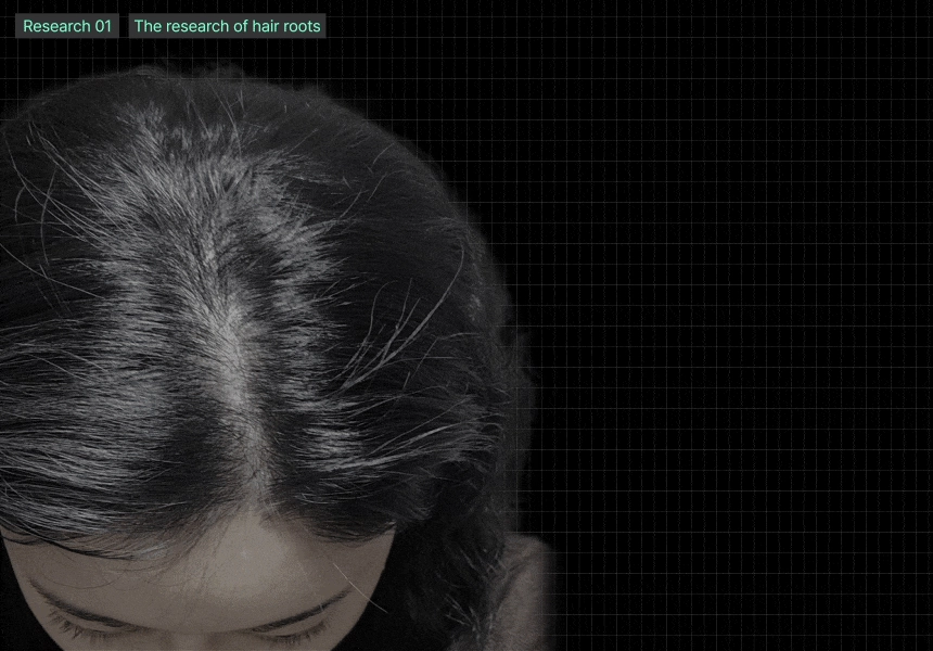 4週阻截脫髮～☆皇牌組合☆ 韓國 ViveLab Revi Solution Anti Hair Loss 3 Step Set 4週對付脫髮日常3步護頭皮組合