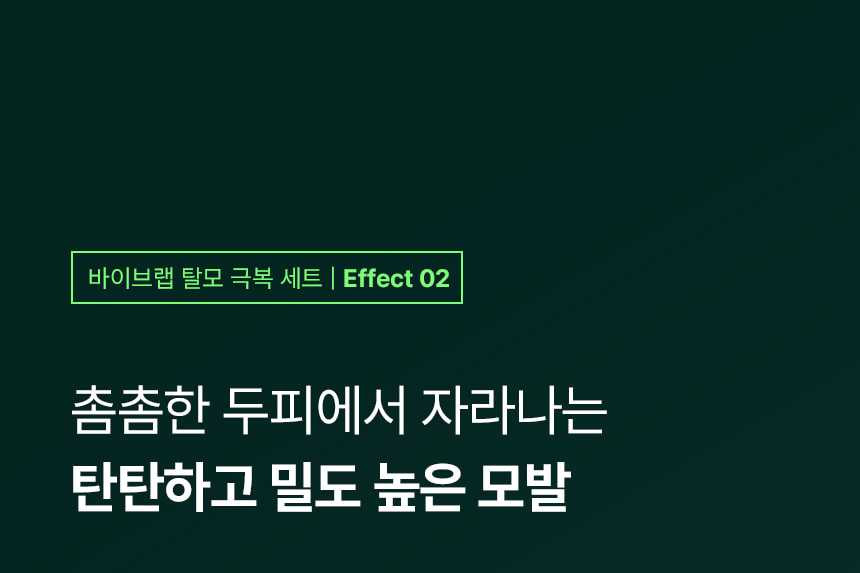 4週阻截脫髮～☆皇牌組合☆ 韓國 ViveLab Revi Solution Anti Hair Loss 3 Step Set 4週對付脫髮日常3步護頭皮組合