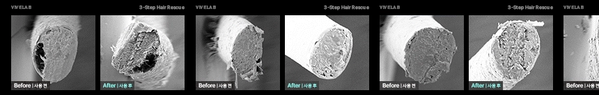 4週阻截脫髮～☆皇牌組合☆ 韓國 ViveLab Revi Solution Anti Hair Loss 3 Step Set 4週對付脫髮日常3步護頭皮組合