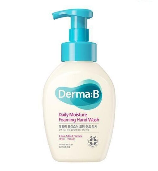 韓國 無添加 99.9%抗菌 Derma:B Daily Moisture Foaming Hand Wash 日常溫和保濕泡泡洗手液 - 500ml