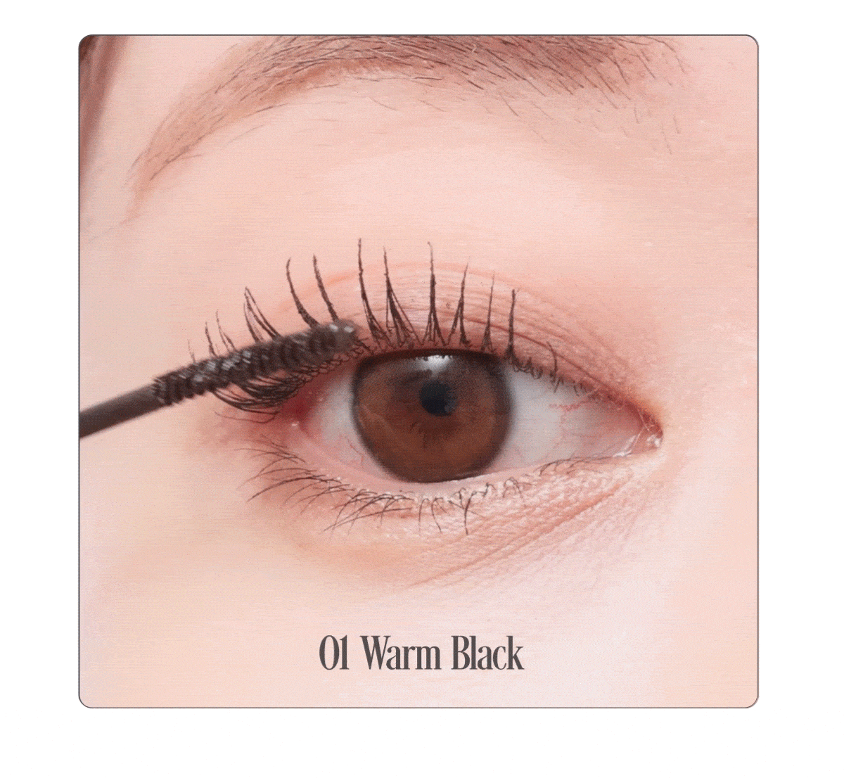 韓國 Mude Volume Up Skinny Mascara 極細豐盈濃密睫毛膏 #01 Warm Back Set + Shade Liner #01 Mocha 卧蠶陰影筆 1+1限量SET