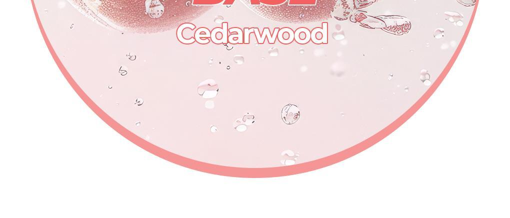 韓國 Bring Green Moisture Moment Hand Cream 水潤瞬間保濕護手霜 50ml - 3款選擇