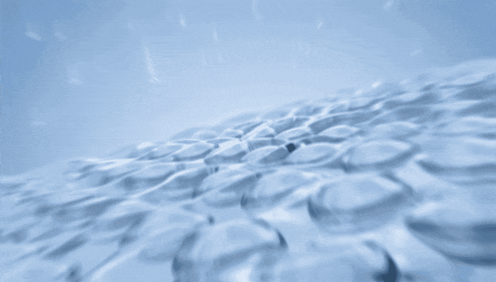 化解🏆 72小時持續水潤~韓國 Bring Green Blue Bean B5-PDRN Mild Lotion 藍豆B5膠囊 X PDRN 溫和保濕乳液 - 230ml