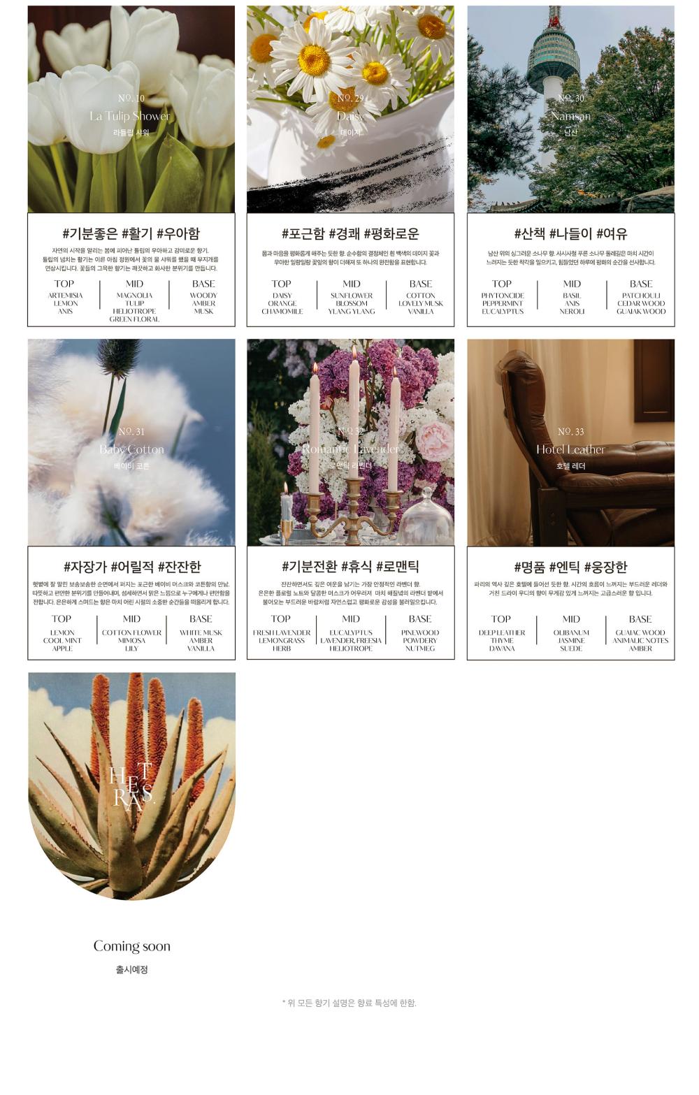 GD's PICK! 韓國 Olive Young 熱賣! Hetras Premium Diffuser 2P Set 高級室內香氛擴香瓶 (一套2瓶大容量500ml x 2)- 15款香味選擇