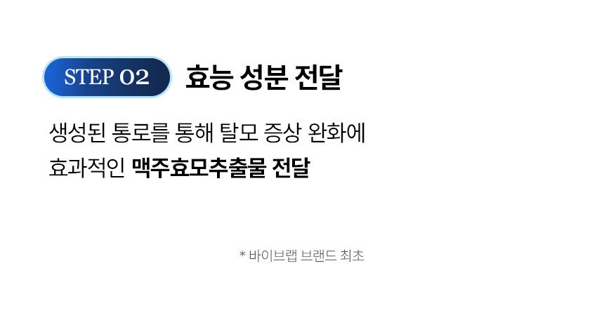 【強效防脫去油 深入呵護頭皮八層】☆皇牌組合☆ 韓國 ViveLab Active Biotin Peptide Solution Scalp 3 Step Set 生物素胜肽3步全面強效深層滋養防脫護理組合