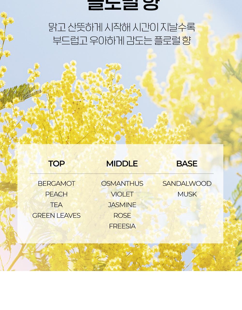 碎髮&瀏海定型~韓國 etude Pang Pang Haircara Fixer 擺脫毛躁髮絲整理定型液