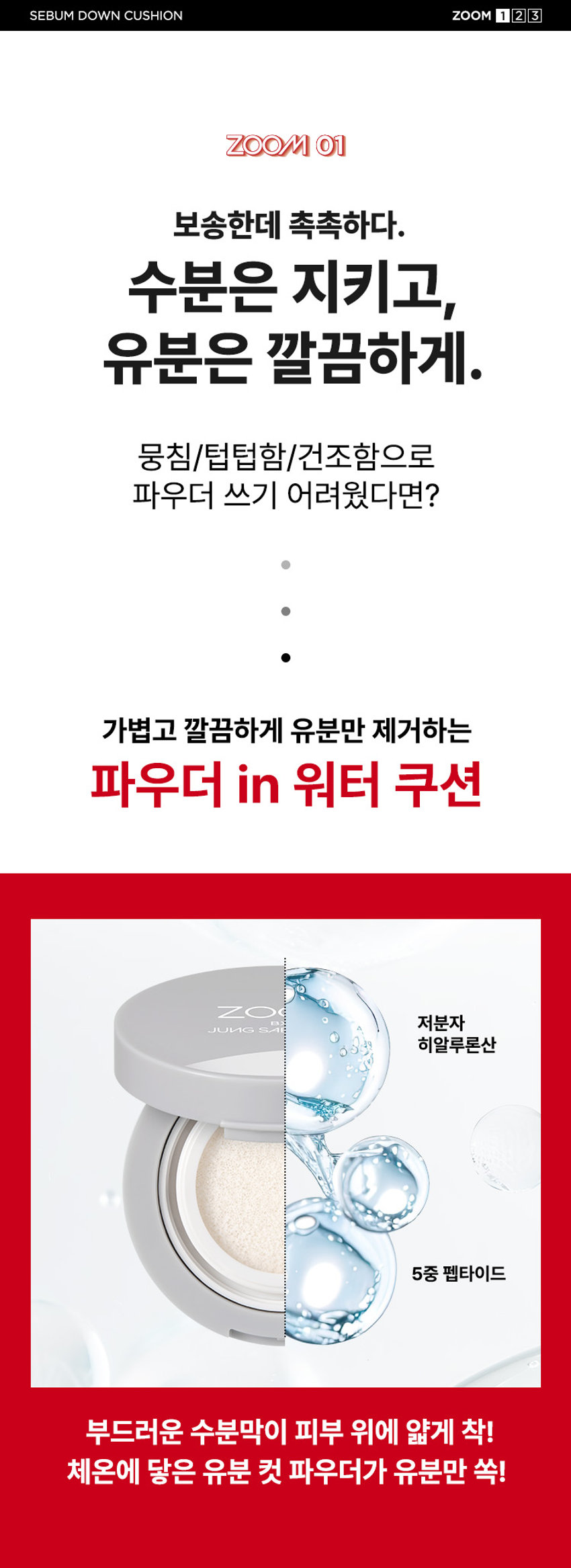 韓國 Daiso X Zoom by Jung Saem Mool Sebum Down Cushion SPF30 PA++ 控油吸油保濕水感定妝氣墊 