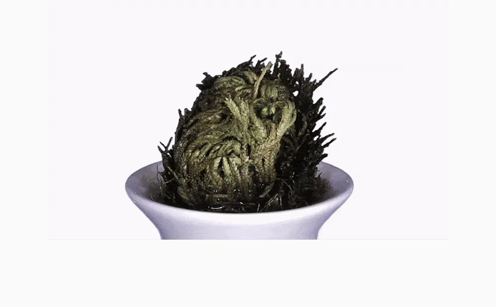 深層保濕~韓國 Sungboon Editor Deep Collagen Hyalu-B5 Hydrating Mask 深層膠原X透明質酸X維B5補濕修屏果凍面膜 一盒4片裝 - 2種選擇