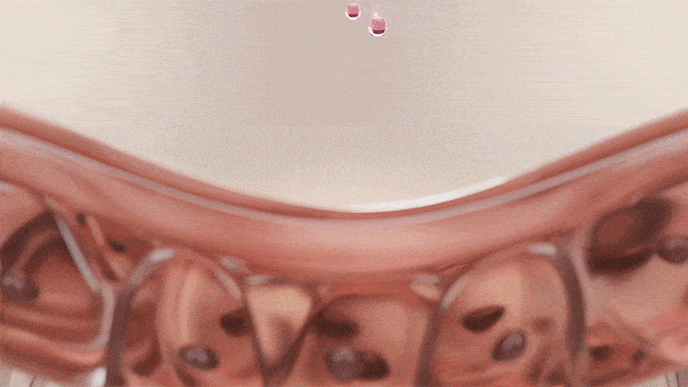 新升級！逆齡安瓶 零死角飽滿感～韓國 Sungboon Editor Silk Peptide EGF Heart-Fit Volume Lifting Ampoule 專業級絲蛋白胜肽 X EGF 高濃縮密集拉提安瓶精華 - 40ml