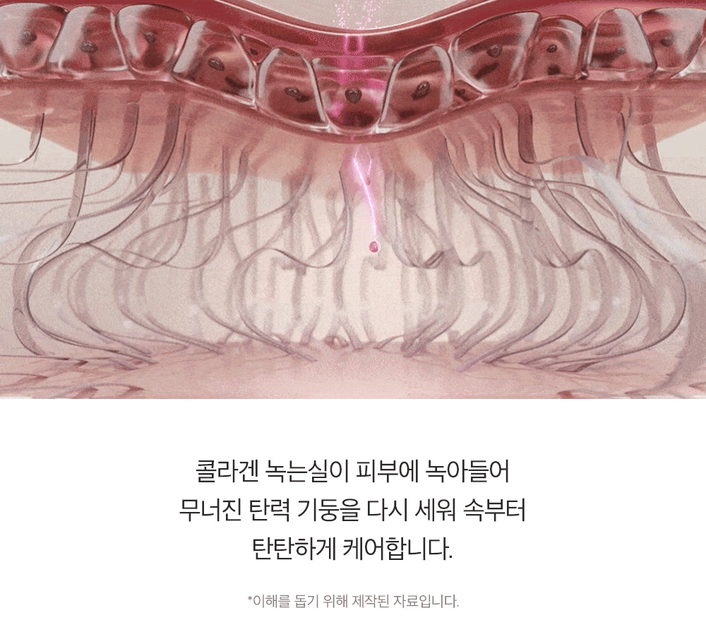 新升級！逆齡安瓶 零死角飽滿感～韓國 Sungboon Editor Silk Peptide EGF Heart-Fit Volume Lifting Ampoule 專業級絲蛋白胜肽 X EGF 高濃縮密集拉提安瓶精華 - 40ml