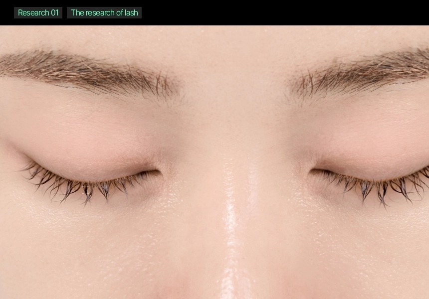 日用睫毛精華 X 睫毛膏～韓國 ViveLab Revive Hyper Curling Black Lash Serum 超捲翹黑色睫毛精華 - 黑色