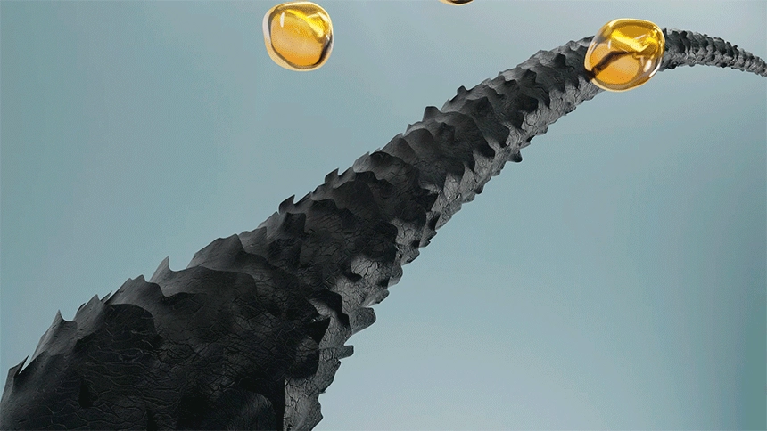 日用睫毛精華 X 睫毛膏～韓國 ViveLab Revive Hyper Curling Black Lash Serum 超捲翹黑色睫毛精華 - 黑色