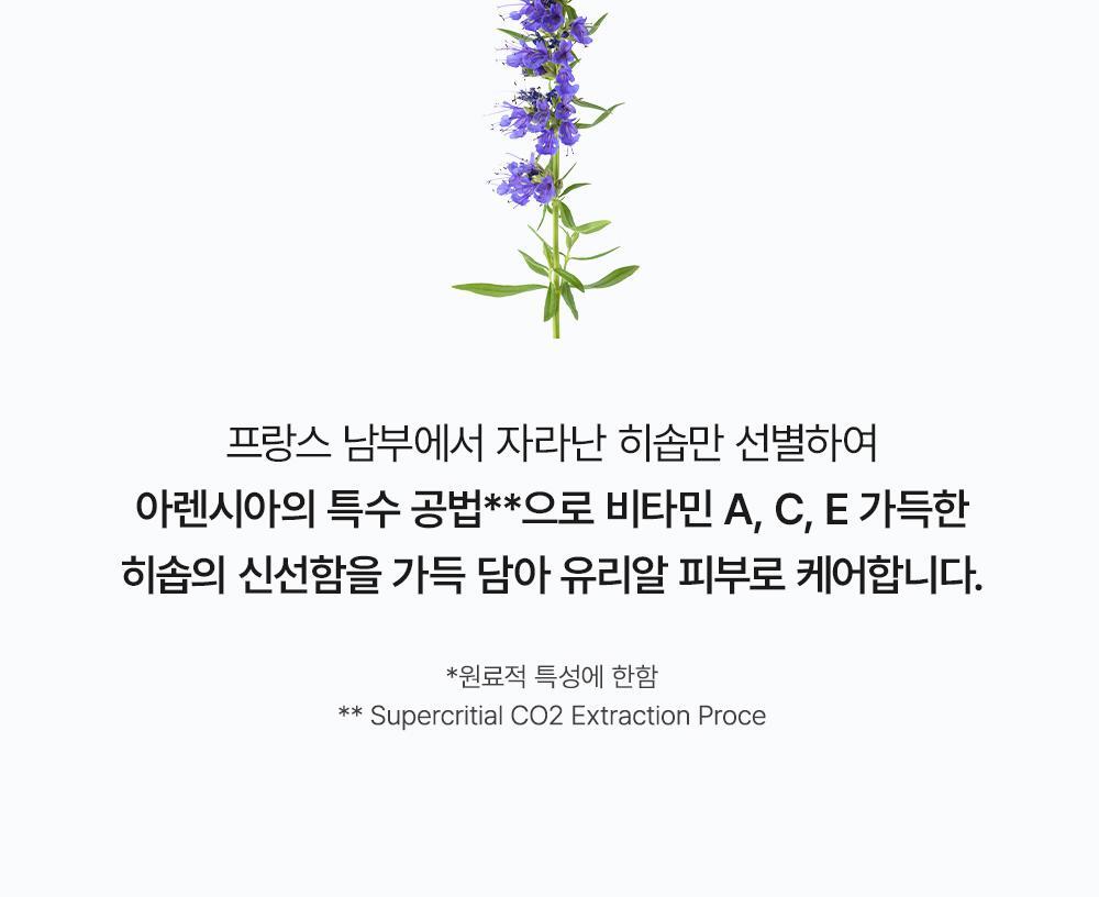 去黃去暗沉 通透冷調肌~韓國 Arencia Holy Hyssop Serum 30 清透冷調30%維他命亮白精華 - 50g