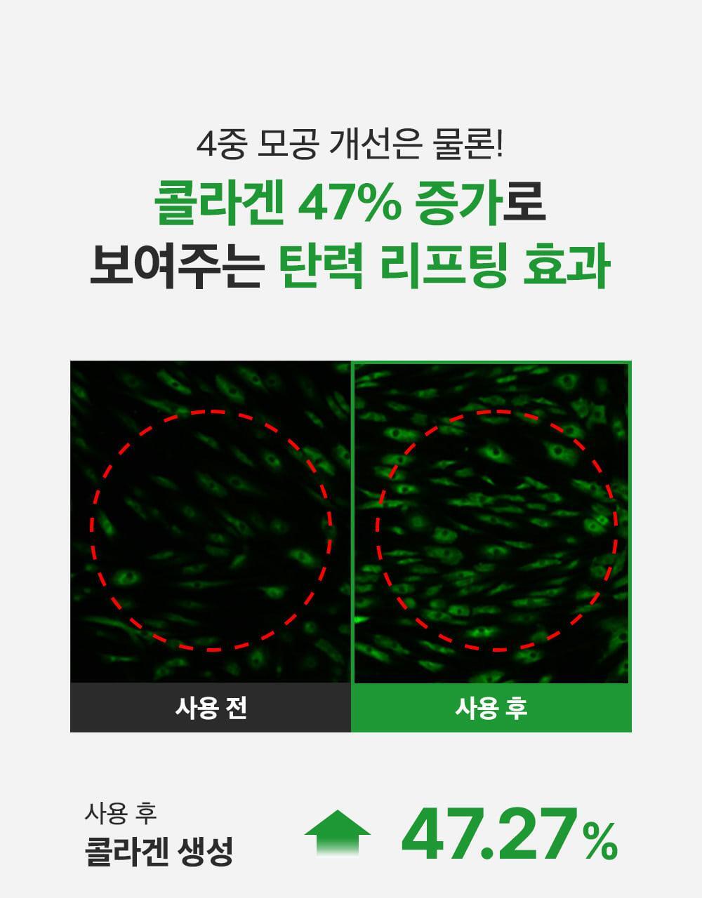 新升級35倍+綠番茄～韓國 Sungboon Editor Green Tomato NMN Pore Lifting Ampoule 專利綠番茄 X NMN 收毛孔緊緻拉提安瓶精華 - 40ml