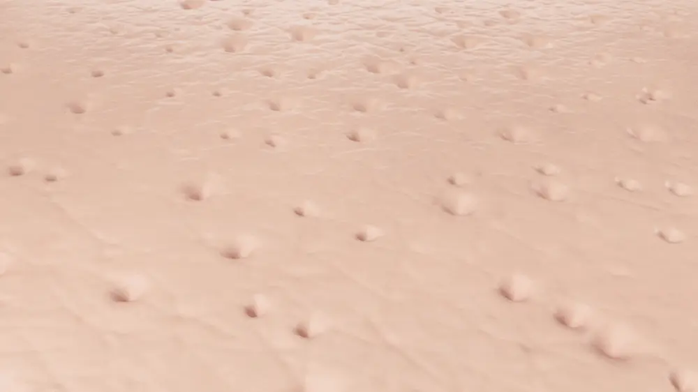 新升級~韓國 Sungboon Editor Green Tomato NMN Pore Lifting Ampoule Mask 專利綠番茄 X NMN緊緻收毛孔安瓶精華面膜 1盒10片裝 - 2種選擇