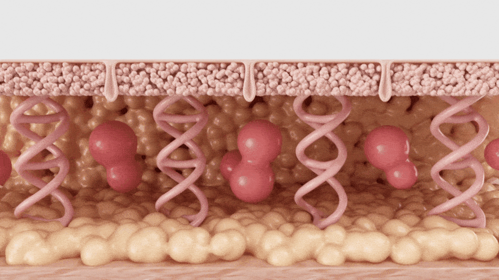 韓國 Sungboon Editor Green Tomato NMN Pore Lifting Cream 專利綠番茄💚 NMN 3D 立體緊緻毛孔面霜 - 50ml