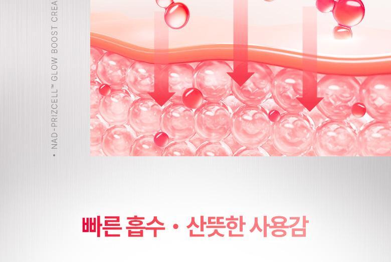 韓國 Bio Heal BOH NAD Prizcell Glow Boost Cream 專利 99%高純度 NAD 逆齡重煥光澤速效彈力保濕霜 - 50ml