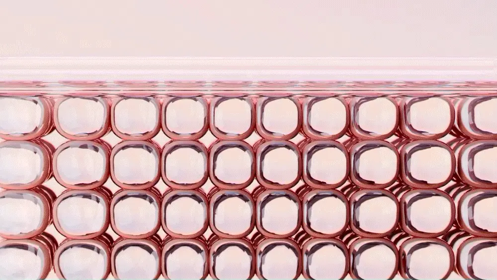 Foundation Free 無粉底感妝效~韓國Cell Fusion C Dark Spot Toning Sunscreen SPF50+ PA++++ 淡斑提亮調色水潤有色防曬乳 - 50ml