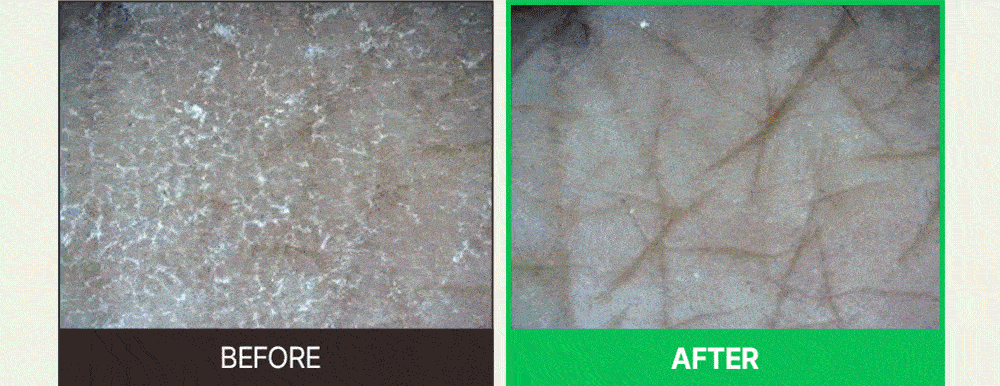 韓國 Veganifect Clean and Glow Green Barley LHA Toner Pad 水亮理肌青麥 LHA 溫和去角質保濕爽膚棉片 - 60片裝