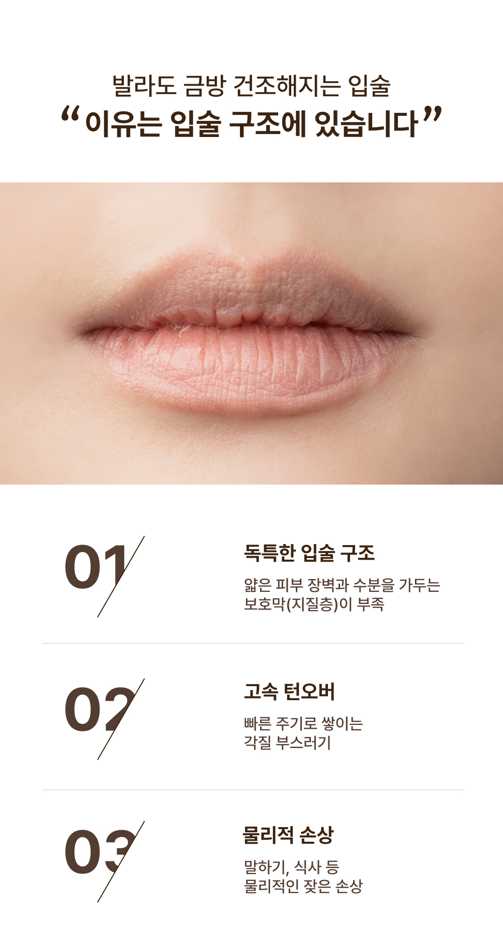韓國藥房熱賣 Dr.Reju-All Advanced PDRN Rejuvenating Lip Serum 逆微胞 PDRN 唇部去角質修護精華 - 10ml