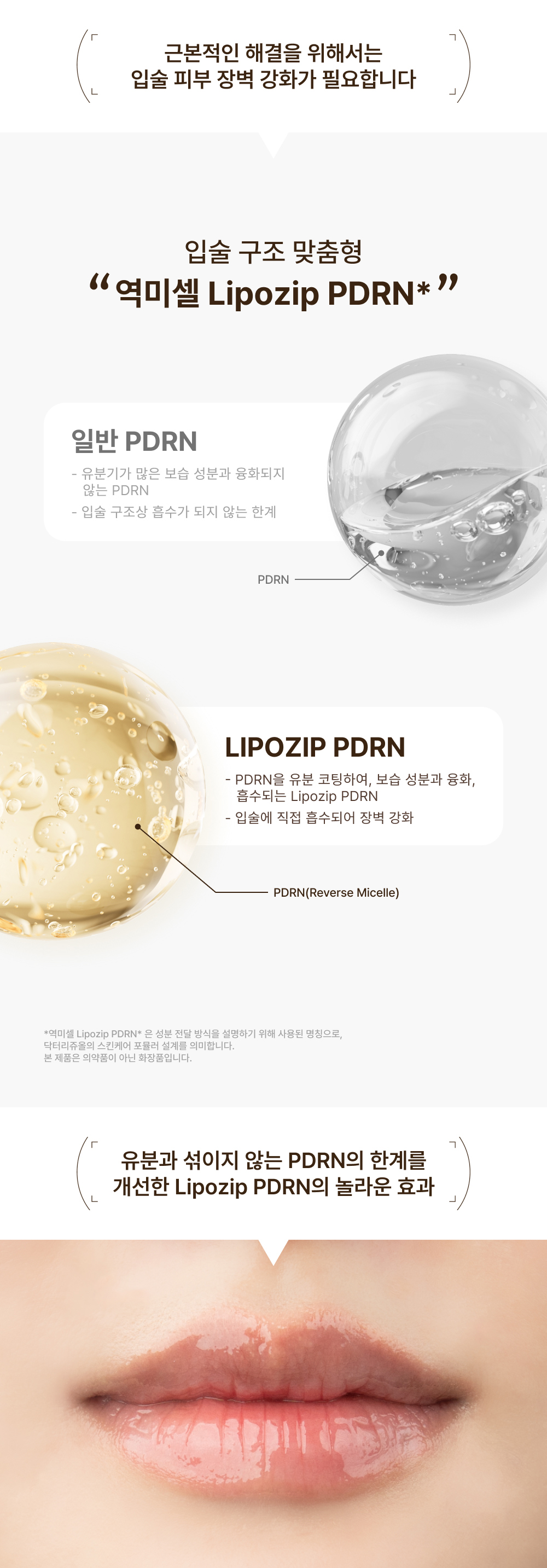 韓國藥房熱賣 Dr.Reju-All Advanced PDRN Rejuvenating Lip Serum 逆微胞 PDRN 唇部去角質修護精華 - 10ml