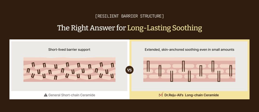 韓國 Dr. Reju-All Advanced LC-Ceramide Barrier Cream 專利長鏈神經醯胺屏障修護保濕面霜 - 大容量90ml