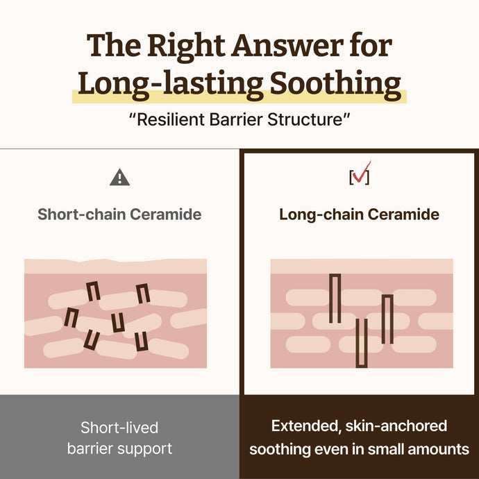 韓國藥房熱賣~Dr. Reju-All Advanced LC-Ceramide Barrier Cream 專利長鏈神經醯胺屏障修護保濕面霜 - 大容量90ml 韓國藥房熱賣~Dr. Reju-All Advanced LC-Ceramide Barrier Cream 專利長鏈神經醯胺屏障修護保濕面霜 - 大容量90ml