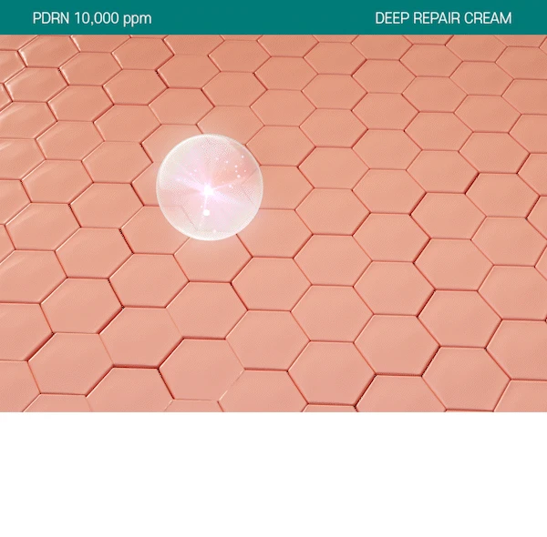 韓國藥房推介~醫美術前後 RXme Rejuyoung PDRN 10000 Deep Repair Cream 99%純度鮭魚PDRN 深層修復面霜 - 30ml