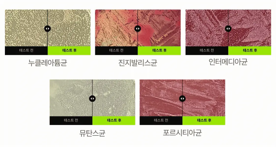 \ LeoJ 共同開發 可用100次/ 韓國 Rebrush Fruit Juice Concentrated Mouthwash 專利100倍濃縮果汁消口氣殺菌漱口液 - 3種口味選擇