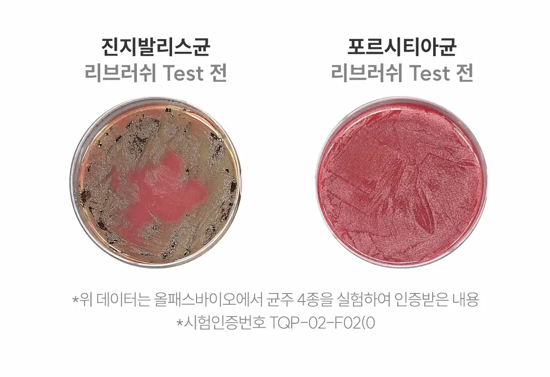 一噴除口臭 不含酒精~Rebrush Fresh Breath Oral Spray 清新口氣除菌隨身口腔噴霧15ml - 2款香味選擇