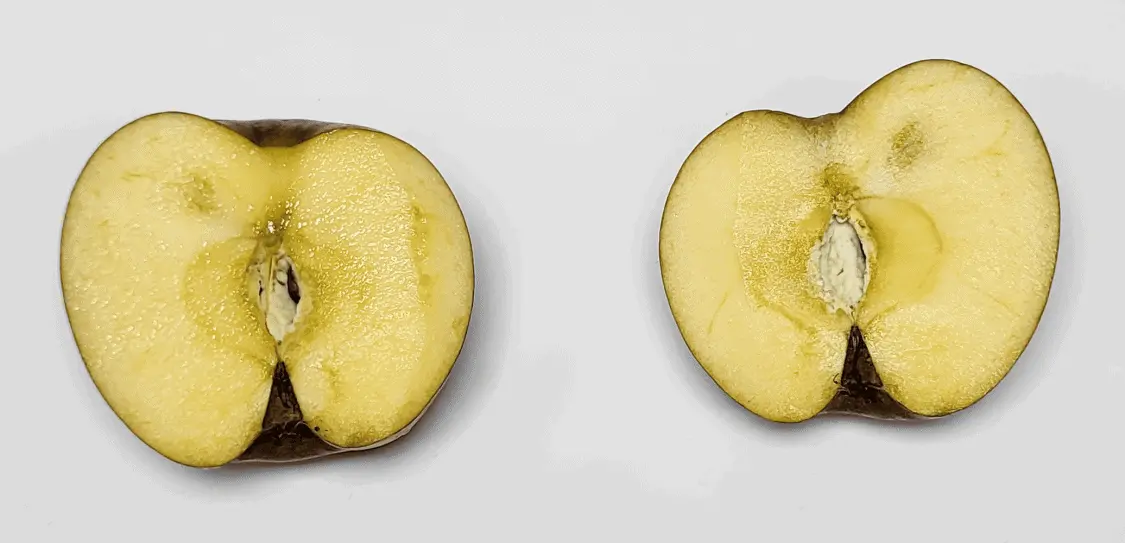 一噴除口臭 不含酒精~Rebrush Fresh Breath Oral Spray 清新口氣除菌隨身口腔噴霧15ml - 2款香味選擇