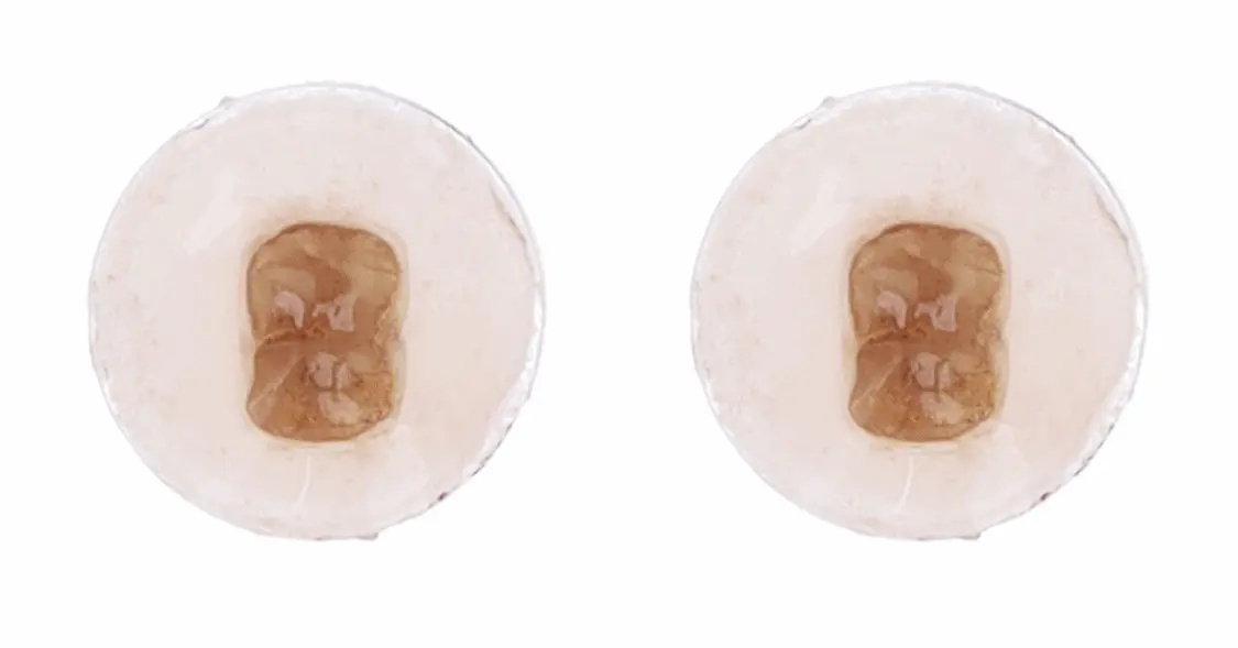 韓國 ReBrush Shine Whitening 高濃度美白牙齒2件套 (Whitening Toothpaste 美白牙膏 80g + Brightening Intense 強化亮白精華 40g)