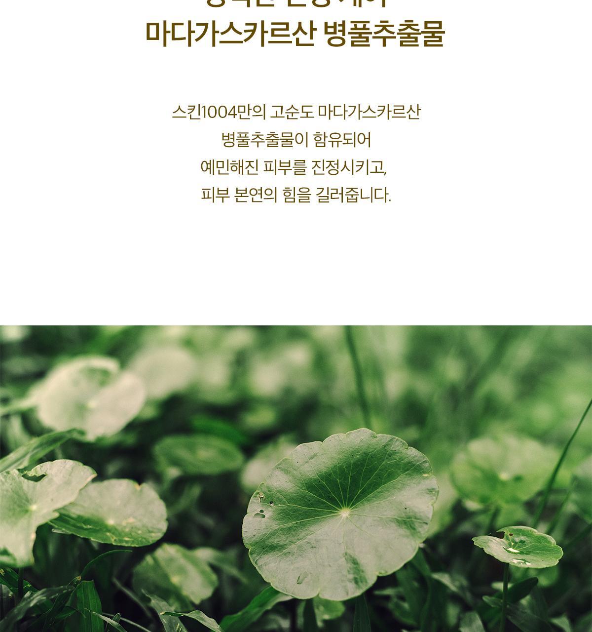 韓國 Skin1004 Madagascar Centella Toning Toner 馬達加斯加積雪草調理化妝水 - 210ml