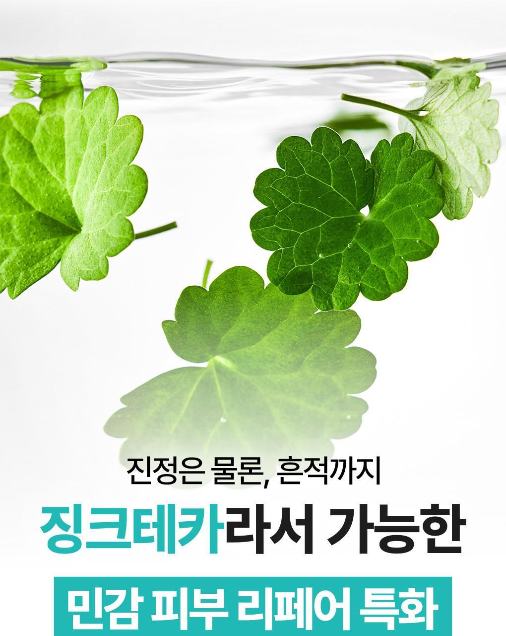 抗痘淡印~韓國 Bring Green Zinc Teca Repair Cream 鋅PCA X TECA 脂質體積雪草鎮靜修復袪痘面霜 - 80ml