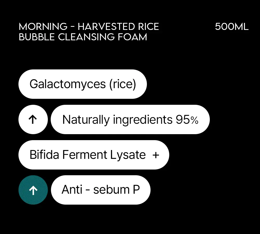 韓國 hetras Morning Harvested Rice Bubble Cleansing Foam 朝採糙米萃酵素微米泡沫潔面 - 大容量 500ml