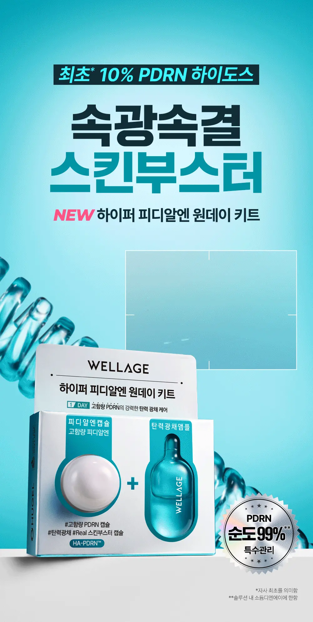 【買5享6!】養成Glass Skin~韓國 Wellage Hyper PDRN One Day Kit 高濃度 10% PDRN 一日活化修復精華膠囊 - 1日用