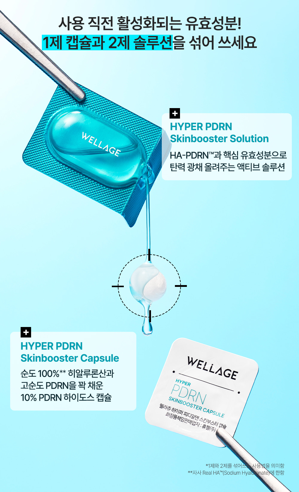 【買5享6!】養成Glass Skin~韓國 Wellage Hyper PDRN One Day Kit 高濃度 10% PDRN 一日活化修復精華膠囊 - 1日用